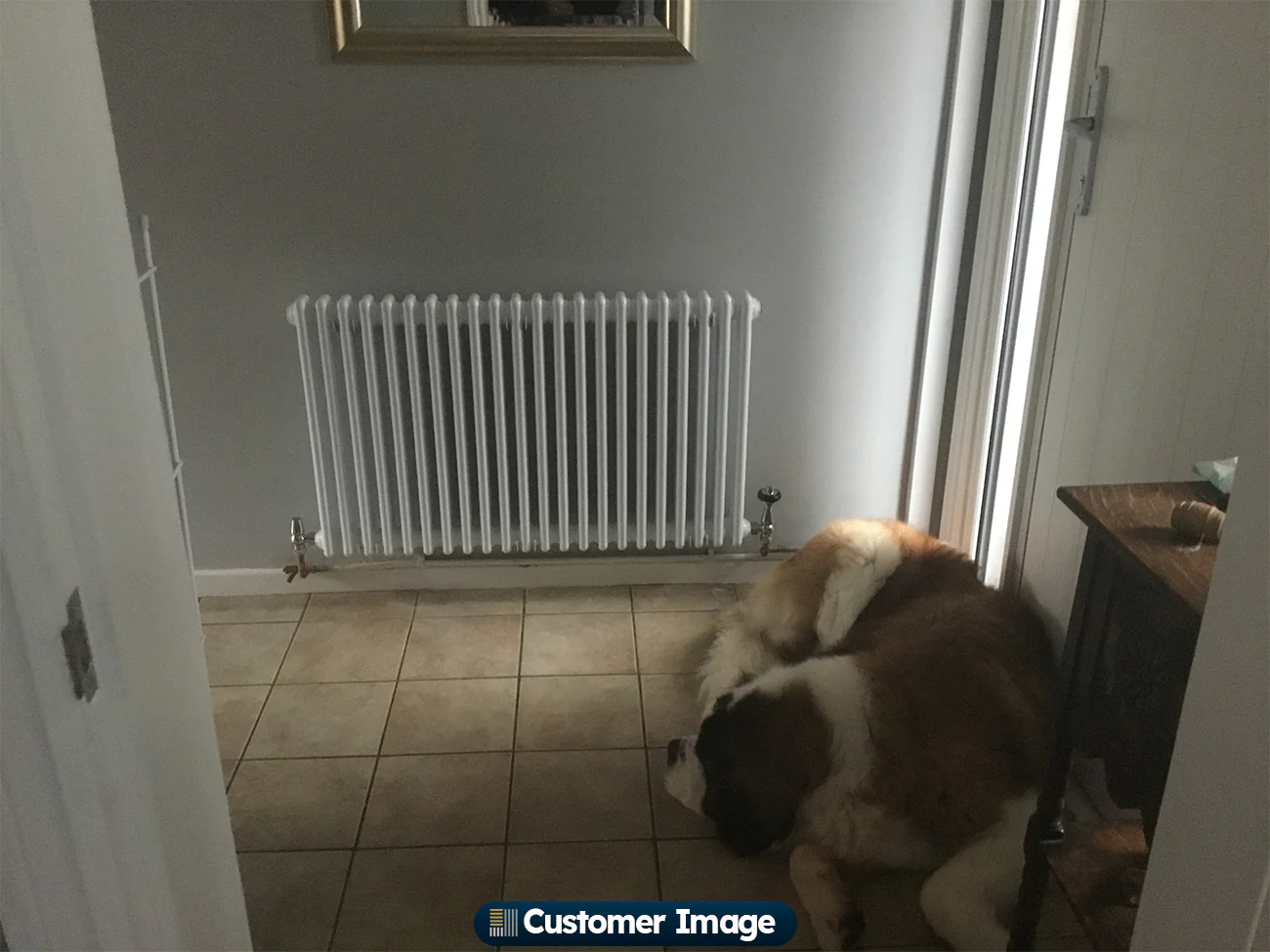 Alpha - White Column Radiator H600mm x W988mm 2 Column - Feet Included - Image 7