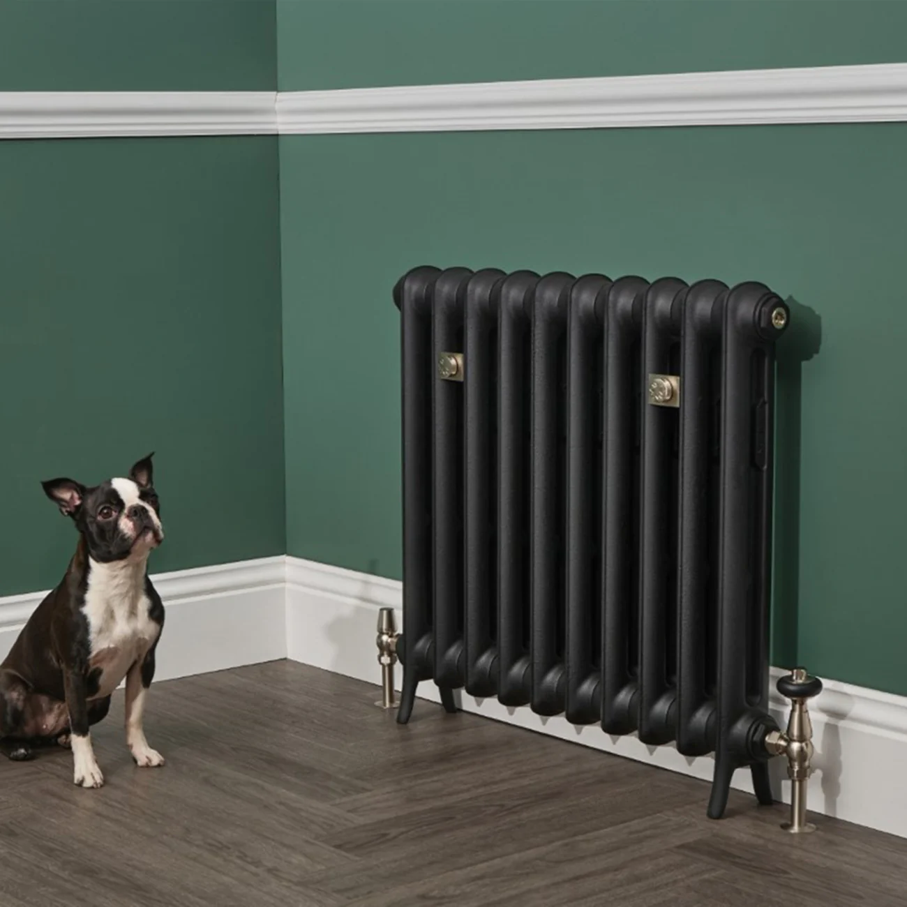 Emmeline II - Matt Black Cast Iron Column Radiator H870mm x W429mm 2 Column - Floor Standing - Image 3
